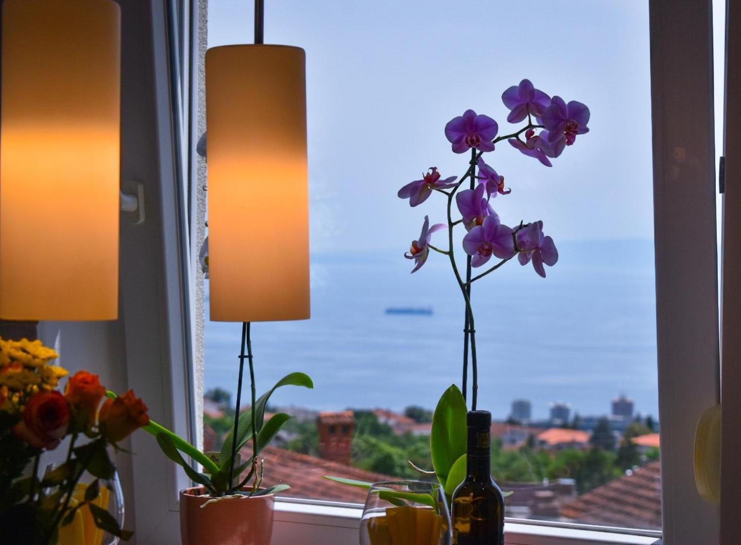 Apartment Nada